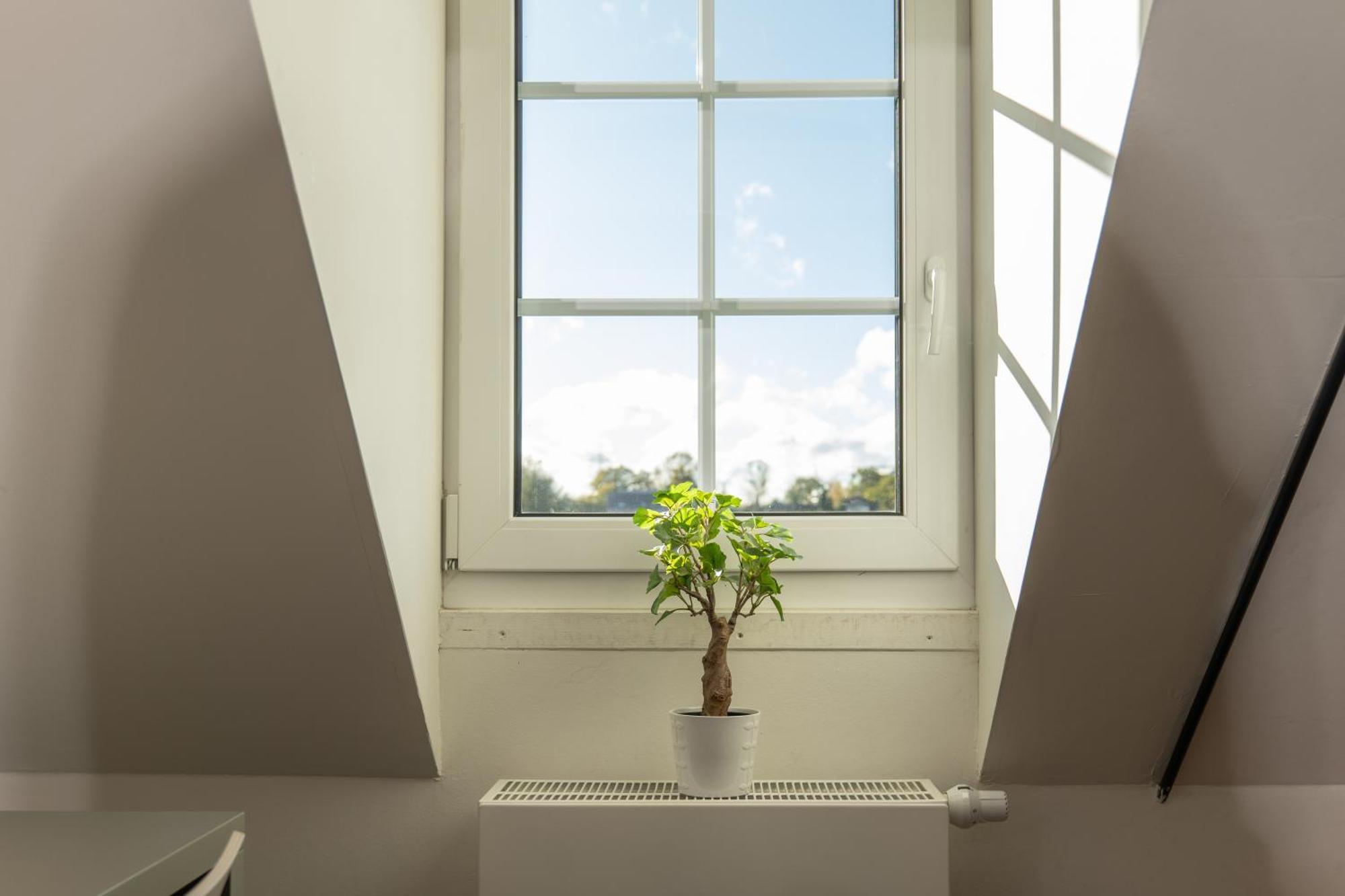 Haus Overbach Jülich Εξωτερικό φωτογραφία